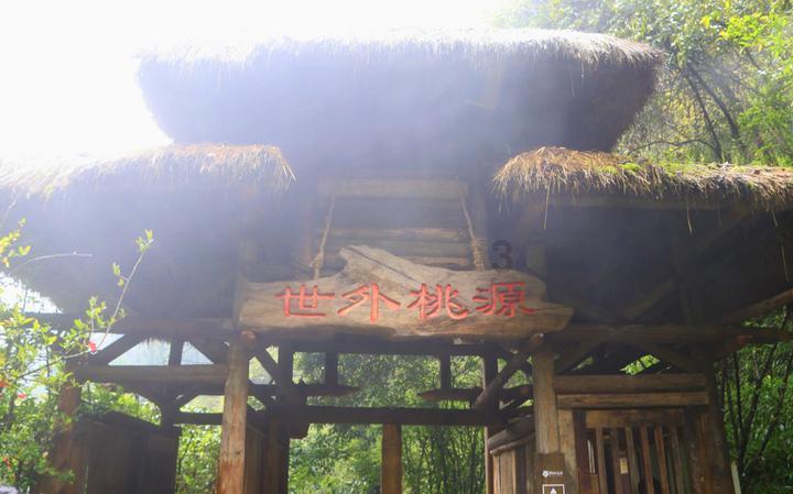 李玫瑾批评《繁花》引发热议，再次发文道歉，称将认真反思谨言慎评